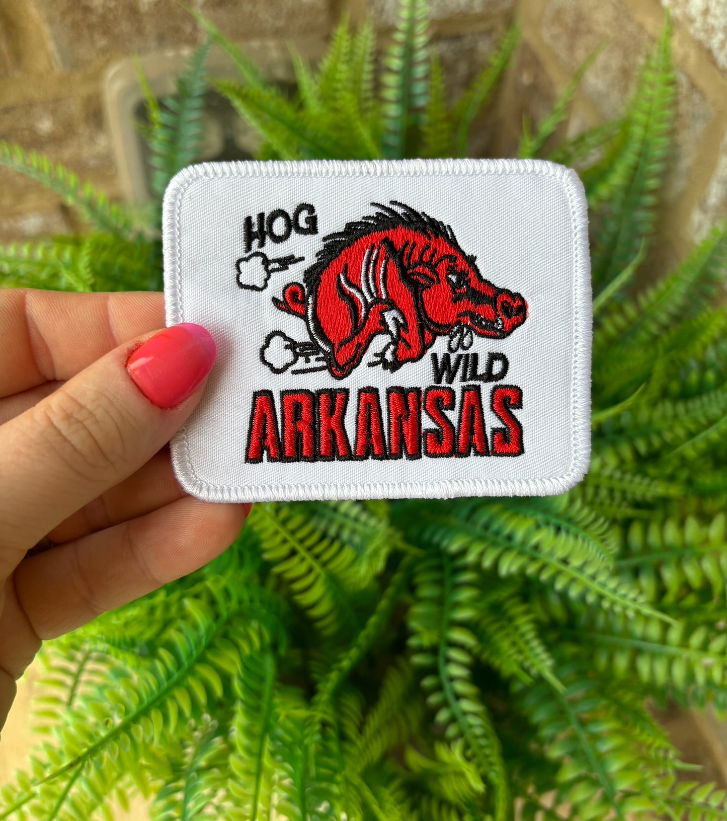 Arkansas Razorbacks Hog Wild Vintage Embroidered Iron on Trucker hat patch