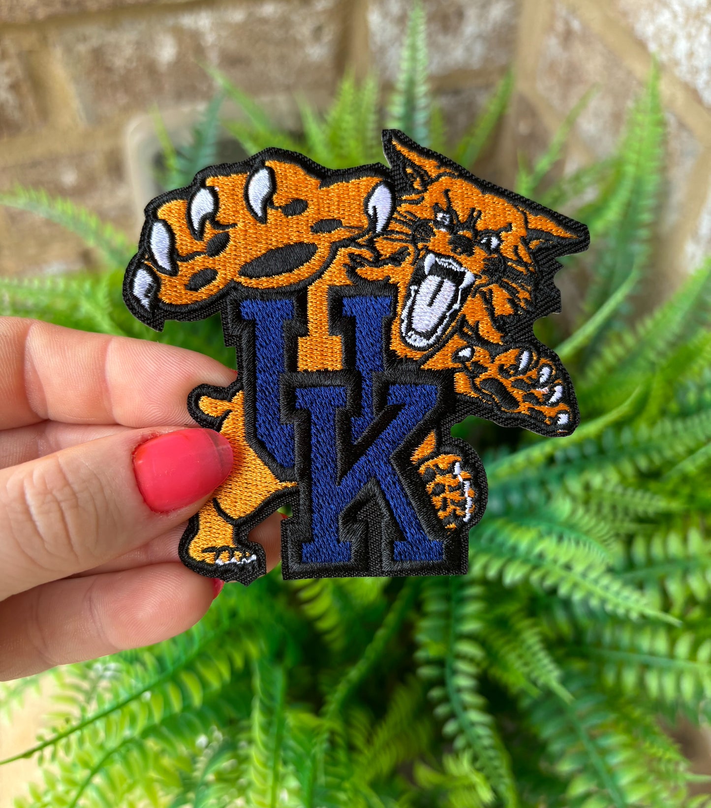 Kentucky Wildcats Embroidered Iron on trucker hat patch